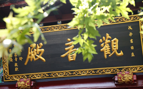 _B5A0226_看图王.jpg _B5A0226_看图王.jpg