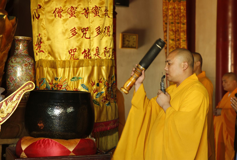 _B5A0081_看图王.jpg _B5A0081_看图王.jpg