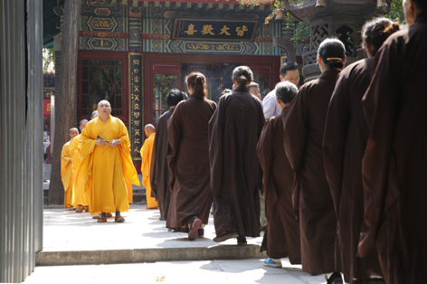 _B5A0165_看图王.jpg _B5A0165_看图王.jpg