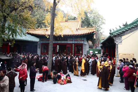 7.webp.jpg 7.webp.jpg