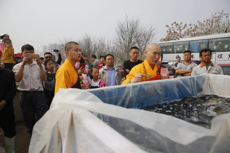 5.webp.jpg 5.webp.jpg