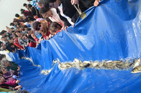 11.webp.jpg 11.webp.jpg