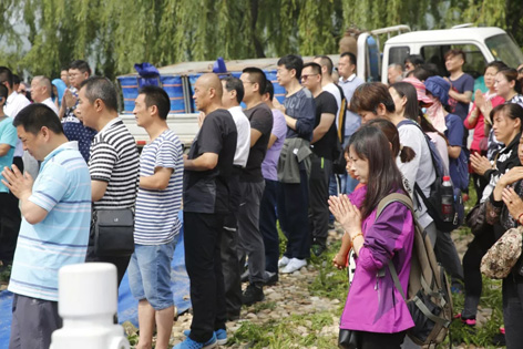 8.webp.jpg 8.webp.jpg