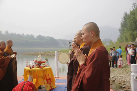 11.webp.jpg 11.webp.jpg