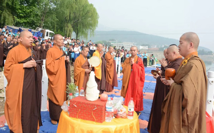 12.webp.jpg 12.webp.jpg