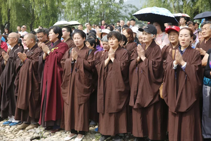 13.webp.jpg 13.webp.jpg