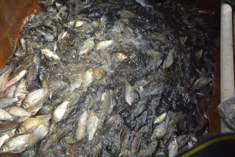 14.webp.jpg 14.webp.jpg