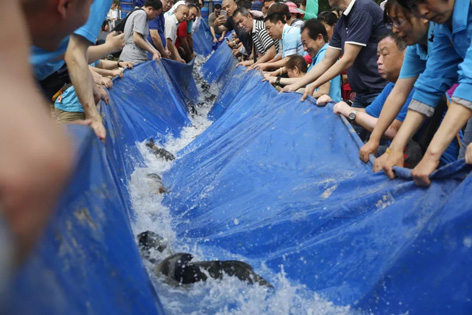 15.webp.jpg 15.webp.jpg