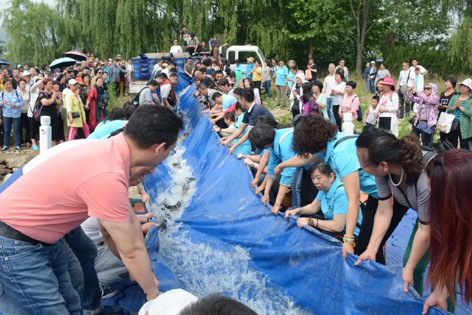 16.webp.jpg 16.webp.jpg