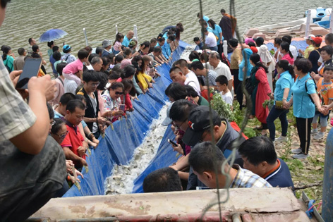 17.webp.jpg 17.webp.jpg