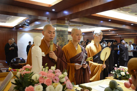 17.webp.jpg 17.webp.jpg