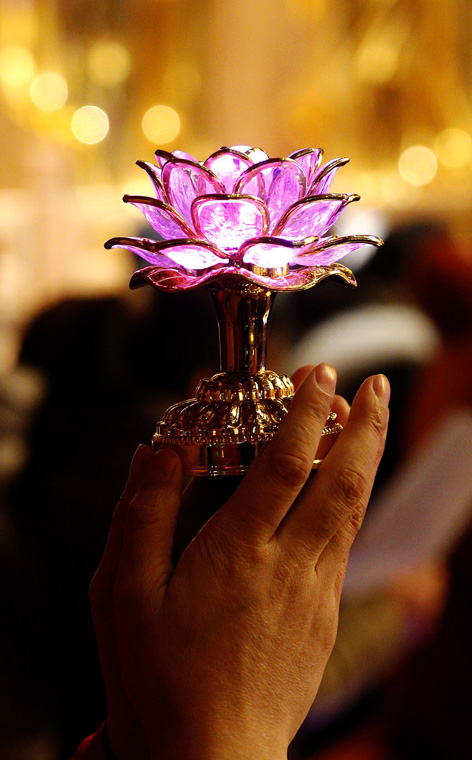 _B5A7737_副本.jpg _B5A7737_副本.jpg